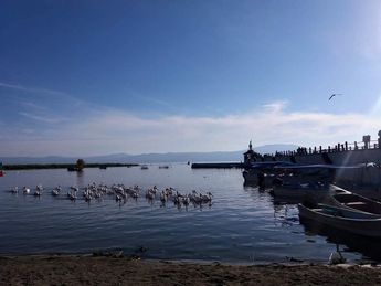 Durante el presente temporal de lluvias el lago ha alcanzado poco más del 50% de su capacidad. | Fb: Chapala En Vivo por Marco