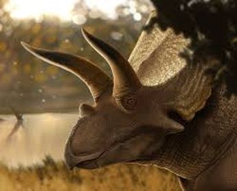 El Coahuilaceratops magnacuerna destacó por tener algunos de los cuernos más grandes entre los dinosaurios de su especie. | National Geographic