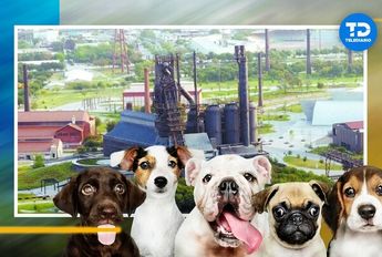 Pet Park en el Parque Fundidora │ Telediario.