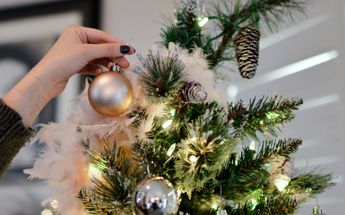 Si comprarás árbol natural para Navidad sigue estas recomendaciones