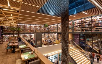 El Péndulo es el rincón donde los libros se acomodan entre plantas y árboles frondosos | El Péndulo San Ángel