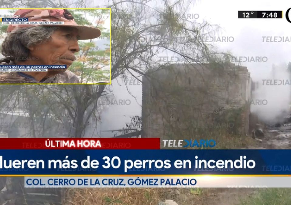 Más de 30 perros mueren en incendio en vivienda de Gómez Palacio