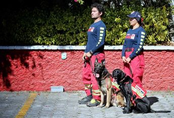 Los ejemplares caninos July y Rex, están entrenados para labores de búsqueda y rescate. | Especial