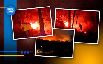 Incendios forestales han devorado 15 mil hectáreas en Edomex / Óscar Ávila