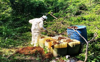 Decomiso de precursores químicos en zona serrana de Sinaloa y Durango. | Cortesía