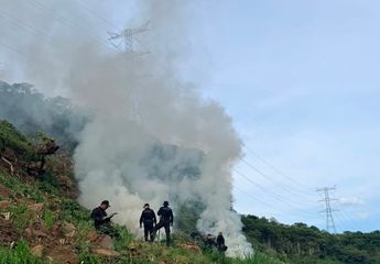 El valor aproximado de las plantas localizadas y destruidas es de 454.6 millones de pesos | Secretaría de Seguridad del Estado de Jalisco