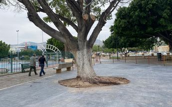 Plancha de concreto genera molestia en comerciantes de Alameda Zaragoza