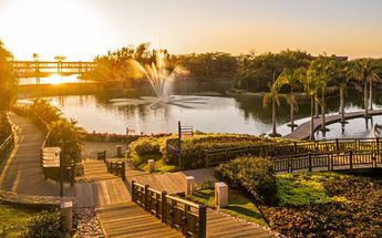 Vidanta, hoteles de lujo en Mèxico / Cortesìa