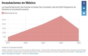 Incautaciones en México. | Especial