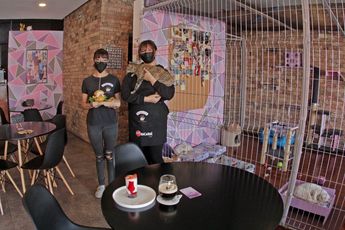 Meau café bistró en Puebla | Melanie Torres