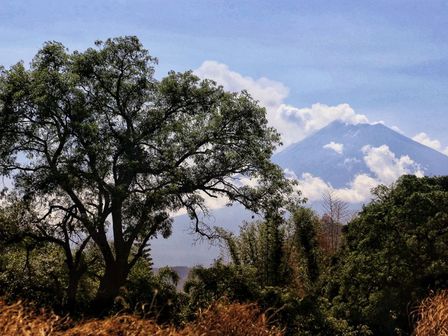 El semáforo de alerta volcánica del Popocatépetl está en Amarillo Fase 2 HOY 9 de junio 2025 / Andrés Lobato
