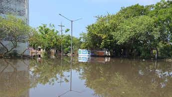 Las severas inundaciones no solo cobraron vidas, sino que trastocaron por completo la rutina de las familias veracruzanas | Especial