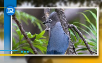 La Laguna de San Baltazar es la casa de cientos de aves / Andrés Lobato