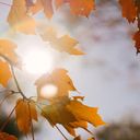 Imagen de Equinoccio de otoño