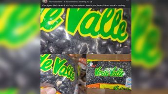 Bolsa de frijoles con piedritas | Especial