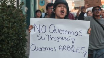 El Cablebús despertó un fuerte pronunciamiento de la ciudadanía por su impacto ambiental | Es Imagen