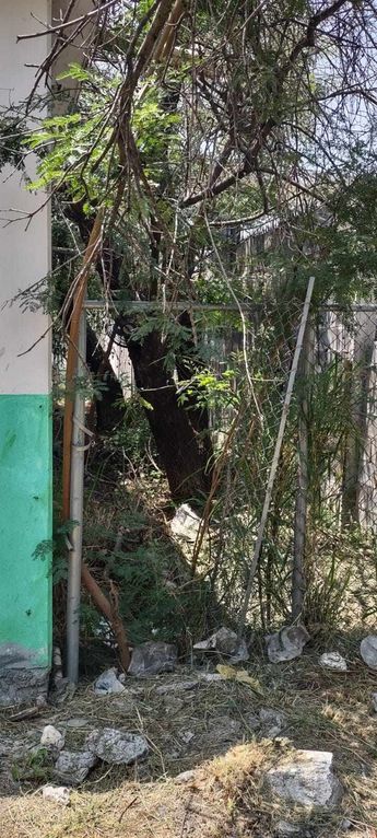 Los responsables habrían dañado una reja en el perímetro de la escuela. | Cortesía