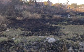 Pastizal quemado en un predio de El Salto / Diana Barajas