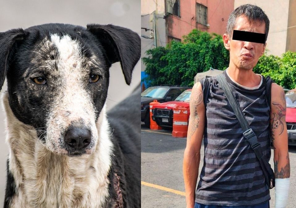 Disparan en contra de perro que intentaba defender a su dueño / Ramón Ramírez