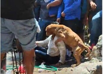 La mujer fue sacada de su casa y para ser linchada por los habitantes de Taxco / X y Cuartoscuro.