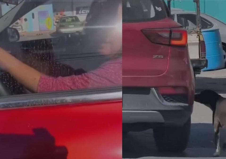 Mujer captada abandonando a su perrito sobre Avenida Diego Díaz de Berlanga en Apodaca.| Especial