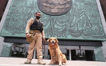 Lucas junto a su manejador /Cámara de Diputados