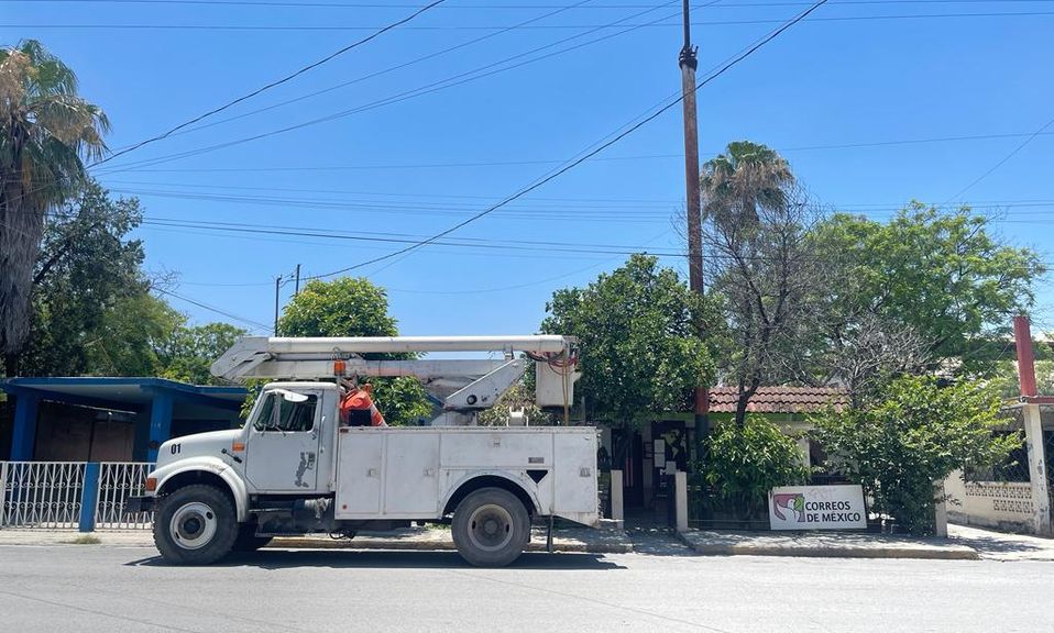 Habitantes mencionan que varias personas fueron atacadas por las abejas. | Cortesía