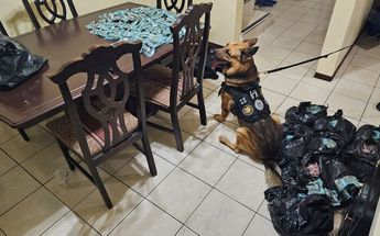 Cateo en vivienda de Guadalupe, Nuevo León