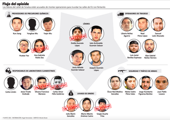 Flujo del opiode. | Especial