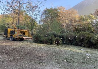 Hay 47 centros de acopio habilitados por las autoridades en el Área Metropolitana de Monterrey. | Pamela Villanueva