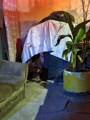 Se indicó que al interior del domicilio había un perro y un gallo, los cuales resultaron ilesos. | Miranda Arias