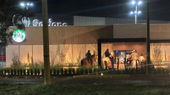 Caballos en Monterrey
