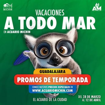 No te pierdas los precios especiales en estas vacaciones a todo mar | Acuario Michin Guadalajara
