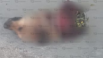 La cabeza de perro que cargaba el hombre tenía hierbas dentro, mismas que en apariencia le daban el sabor deseado / Especial