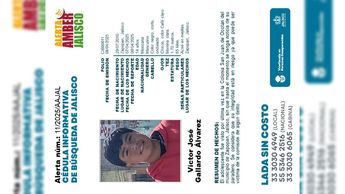 Ficha de búsqueda de Víctor José Gallardo Álvarez / Especial
