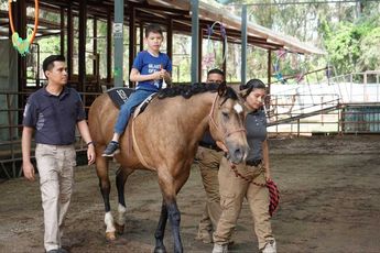 Realizan más de 3 mil sesiones de equinoterapia para niños con autismo y Down