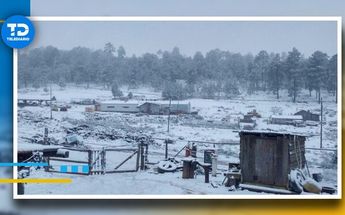 Protección Civil anunció lo que preparar para recibir el invierno.