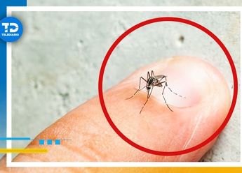 Guanajuato alerta por más de 20 casos de dengue registrados en temporada de calor