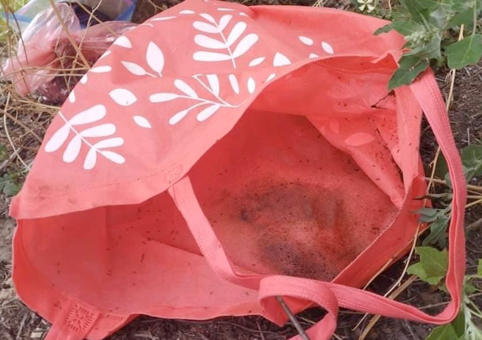 Bebé recién nacido es abandonado en Hidalgo / Wendy Salazar