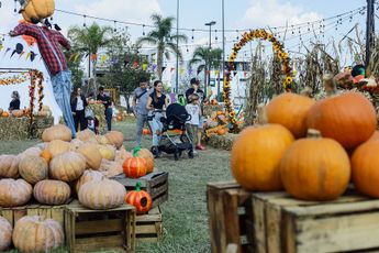 El ambiente del festival es completamente familiar / Agencia Es Imagen