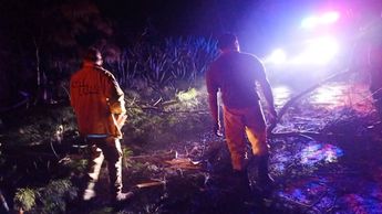 En algunas otras partes del estado la intensa tormenta logró derribar algunos árboles. | Cortesía