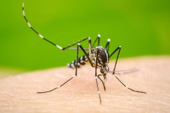 Recomendaciones para evitar el Dengue.