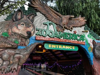 Los hechos ocurrieron en el zoológico ZooAmerica, ubicado dentro del parque temático Hersheypark | ZooAmerica