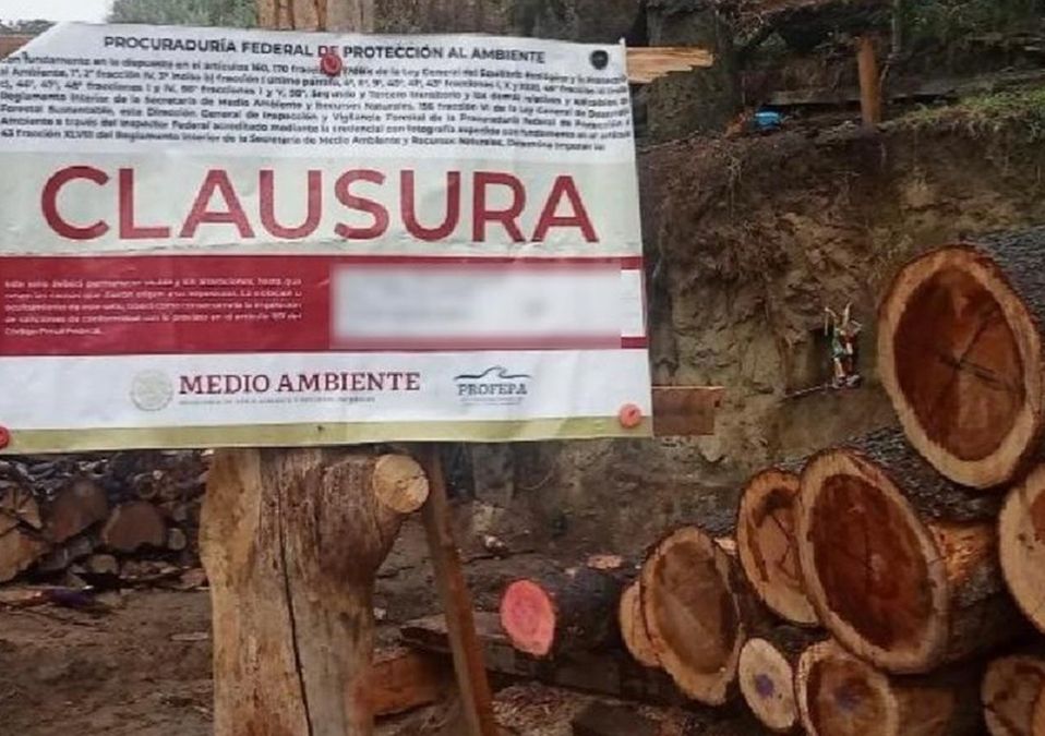 Aseguran, en Tlalpan, dos bodegas de presuntos talamontes
