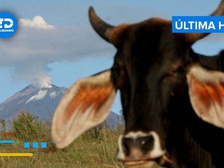El semáforo de alerta volcánica del Popocatépetl está en Amarillo Fase 2 HOY 13 de marzo 2025 / Andrés Lobato