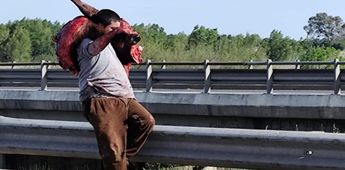 Vecinos con trozos del ganado | Especial