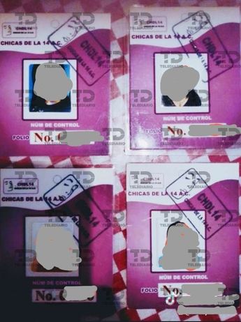 Entre las credenciales que Fuerza 2000 ocupa para extorsionar aparece la de Mariela G., líder de la agrupación 'Chicas de la 14' / Especial