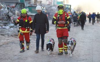 'Orly' y 'Balam', perros rescatistas de la Cruz Roja Mexicana ayudando en los rescates en Turquía / Twitter @SRE_mx