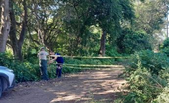 Autoridades de Puerto Vallarta acordonaron el área donde se encontraba el enjambre para evitar otro ataque | Protección Civil y Bomberos de Jalisco