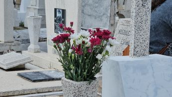 Flores dejadas por una de las familias en el Panteón de Mezquitán | Telediario